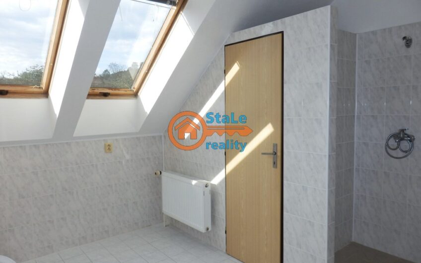 Pronájem luxusního komerčního prosotru  94 m2