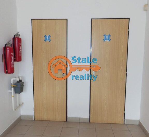 Pronájem luxusního komerčního prosotru  94 m2